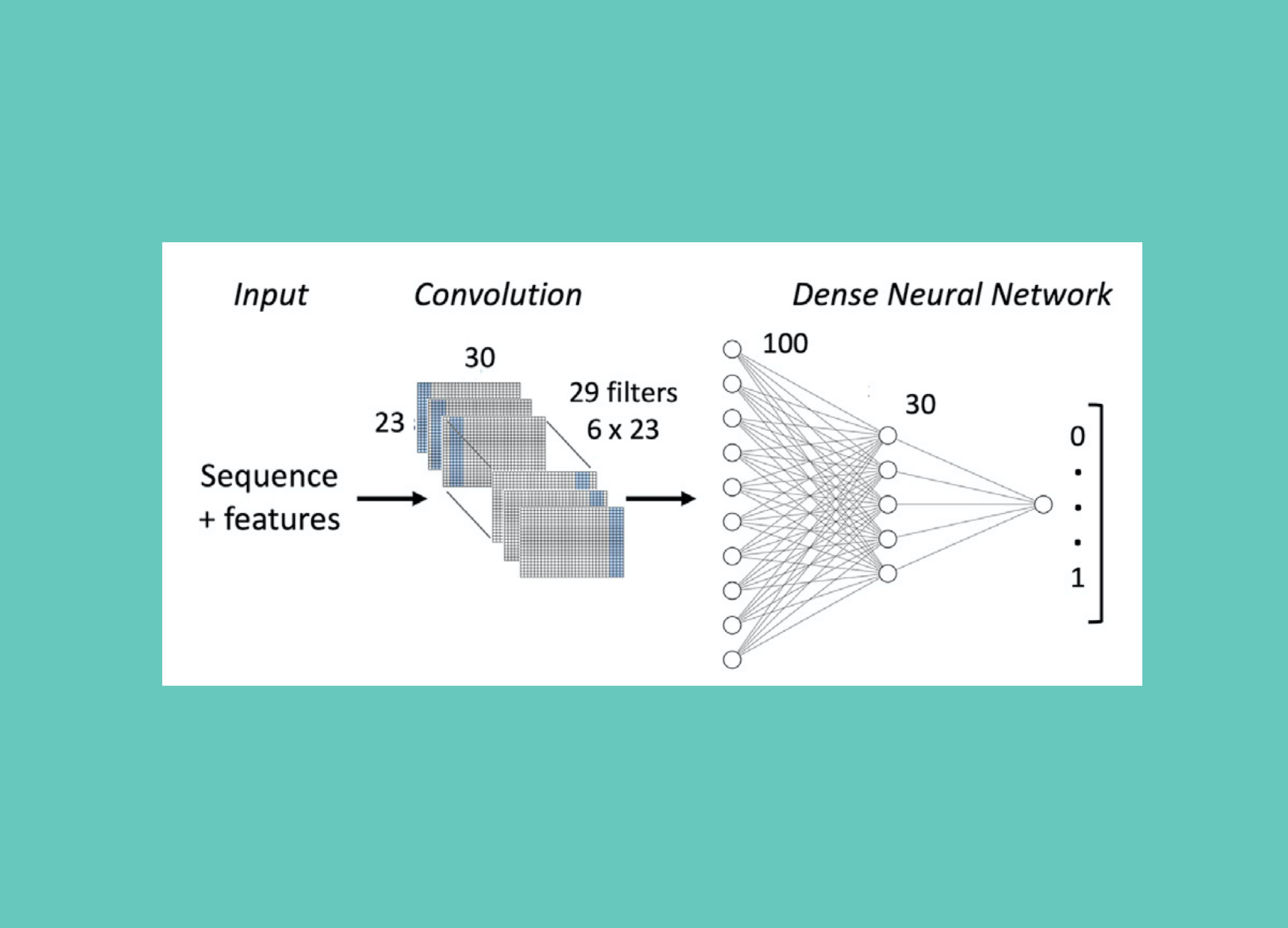 CNNs to Predict Transcription Activation